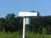 Bluebird House